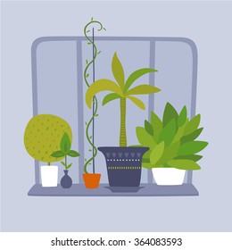 Houseplants standing on a blue window.