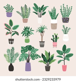 Hogares de moda. Colección de plantas del hogar en macetas de flores. Decoración de la jungla urbana. Plantas ecológicas en los plantadores. Ilustración del interior de las plantas domésticas