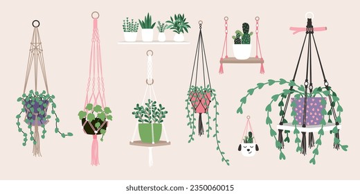 Houseplants in trendy hygge style. Collection of Home plants in flower pots. Urban jungle decor set . Evergreen plants in planters hanging. Vector of decoration plant, houseplant interior illustration