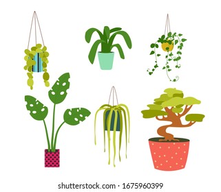 Instalaciones domésticas en diversos recipientes de diseño plano conjunto de ilustraciones vectoriales. Elementos de color de decoro