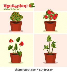 Houseplants vector collection 1