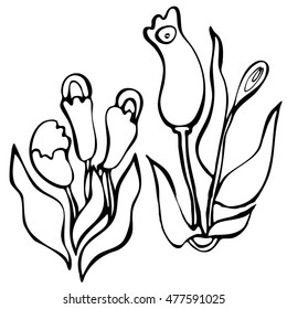 Houseplants . Vector flowers in pots