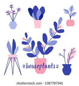 Houseplants vector illustration set. Flowers in pots with leaves and blossoms. Decorative home plants. 
