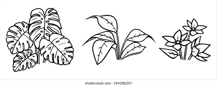 Houseplants vector illustration set - outline indoor flowers with leaves. Line art doodle drawings isolated on white background for floral design. EPS 10 format