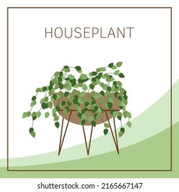 Instalaciones domésticas ilustraciones vectoriales con espacio para texto. Plantas domésticas en maceta de flores.
