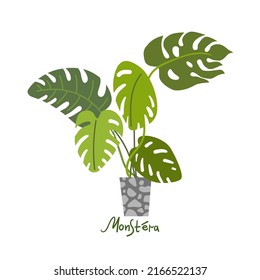 Houseplants vector illustrations. Urban jungles. Plants are friends. Culd be used for web, notebook, phone case, etc