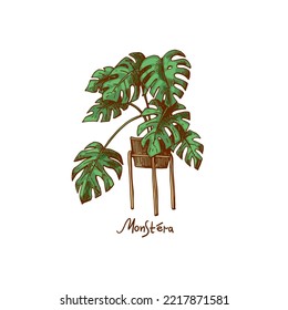 Houseplants vector illustrations. Urban jungles. Plants are friends. Culd be used for web, notebook, phone case, etc