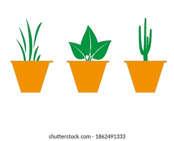Houseplants vector isolated on white background