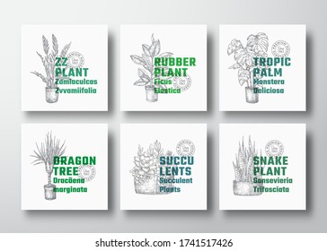 Houseplants Vector Label Templates Collection. Hand Drawn Potted Dracaena, Monstera, etc. Sketches with Modern Typography. Home Gardening Advertising Cards or Package Labels Set. Isolated.