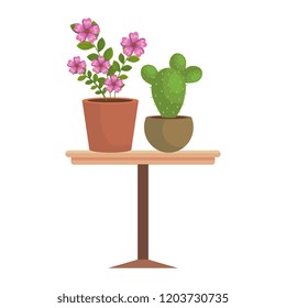 houseplants in wooden table