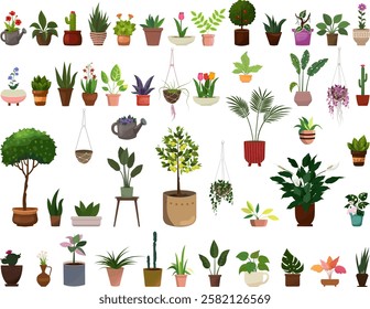  Houseplants.Potted house plants, trees and flowers set. Different plants in pot for home, office interior. Cartoon flat vector illustrations isolated on transparent background. Lemon, monstera, cacti