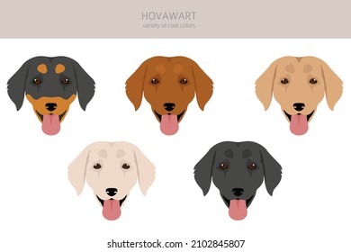 Hovawart dog clipart. Different poses, coat colors set.  Vector illustration