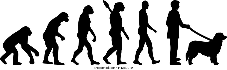 Hovawart dog evolution with silhouette