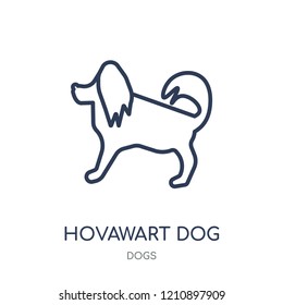 Hovawart dog icon. Hovawart dog linear symbol design from Dogs collection. Simple outline element vector illustration on white background.