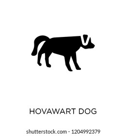 Hovawart dog icon. Hovawart dog symbol design from Dogs collection. Simple element vector illustration on white background.