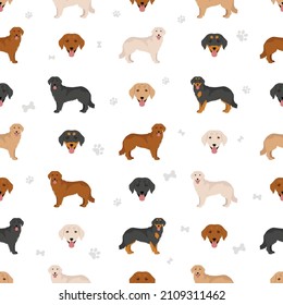 Hovawart dog seamless pattern. Different poses, coat colors set.  Vector illustration