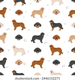 Hovawart dog seamless pattern. Different poses, coat colors set.  Vector illustration