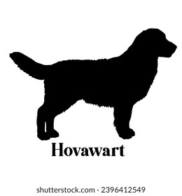 Hovawart Dog silhouette dog breeds logo monogram face vector