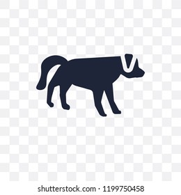 Hovawart dog transparent icon. Hovawart dog symbol design from Dogs collection. Simple element vector illustration on transparent background.