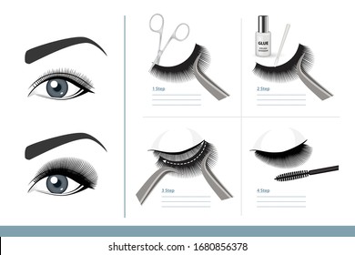 How to Apply False Eyelashes Step by Step Properly. Full Tutorial on Application. Guide. Infographic Vector Illustration