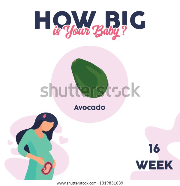 あなたの赤ちゃんの大きさは アボカドの果物比較 かわいい妊婦の女の子と赤ちゃん 簡単なベクターフラットイラスト のベクター画像素材 ロイヤリティフリー