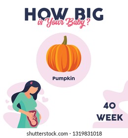 How big is your baby? 40 week by pumpkin fruit comparison, with cute pregnant girl and her baby, simple vector flat illustration