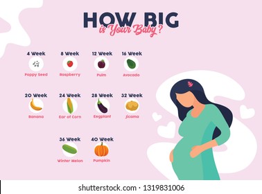 How big is your baby? every week by fruits comparison, Stages of pregnancy with cute pregnant girl, simple vector flat illustration
