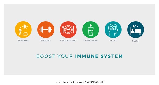 How to boost your immune system naturally: expose to sunlight, exercise, eat healthy, drink water, relax and sleep, icons set - Shutterstock ID 1709359558
