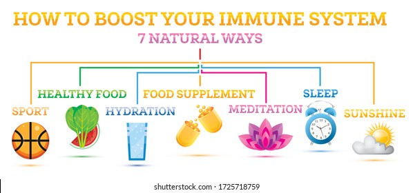 How to Boost Your Immune System. Infographic Elements. Vector Illustration. Healthy Habits Against Respiratoty Diseases and Viruses.