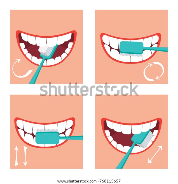 How Brush Your Teeth Stock Vector (Royalty Free) 768115657