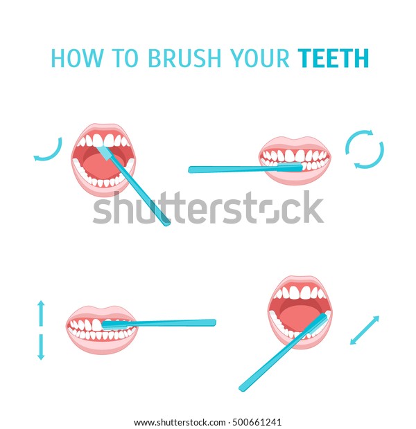 How Brush Your Teeth Brushing Poster Stock Vector (Royalty Free) 500661241