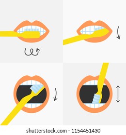 How to brush your teeth instructions 4 steps, vector illustration