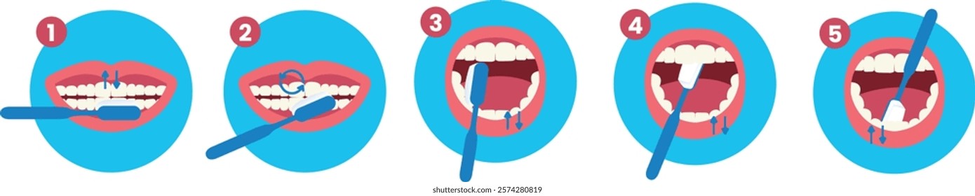How to Brush Your Teeth Step by Step Instruction Flat Illustration