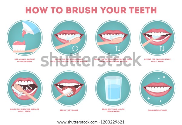 How to\
brush your teeth step-by-step instruction. Toothbrush and\
toothpaste for oral hygiene. Clean white tooth. Healthy lifestyle\
and dental care. Isolated flat vector\
illustration