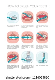 How Brush Your Teeth Vector Infographic Stock Vector (Royalty Free ...