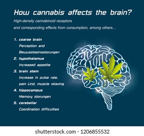 how cannabis affects the brain, high-density cannabinoid receptors and corresponding effects from consumption, among others