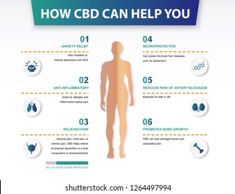 How Cbd Can Help You,effect On Body,vector Infographic On White Background.
