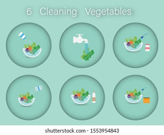 How to clean vegetables for cooking. 6 cleaning vegetable for good health.Vector illustration.