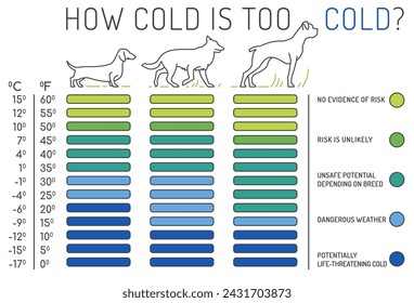 How cold is too cold. The normal temperature for a dog. Medical infographic. Landscape veterinarian poster. Useful information. Your pet wellbeing. Vector illustration isolated on a white background
