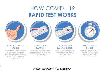 How COVID-19 Or Coronavirus Rapid Test Works Vector Illustration Template Poster. Blood Sample For Covid-19 Test Icon.