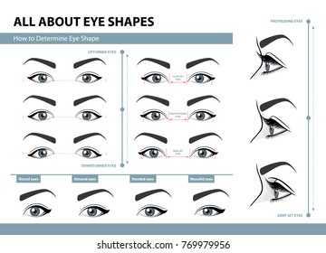 How to determine Eye Shape. Various types of female eyes. Set of vector illustrations with captions. Template for Makeup. Training poster