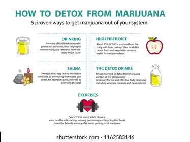 How To Detox From Marijuana 5 Proven Ways To Get Marijuana Out Of Your System.