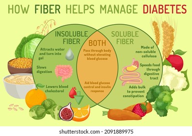 How Dietary Fiber Helps Manage Diabetes. Healthcare, Nutrition, Medicine Image. Medical Infographics With Colorful Food Examples. Vector Illustration On A Light Green Background