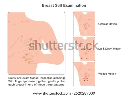 How to do a breast self-exam for breast awareness is check of breasts that woman does at home to look for changes or problems in her breast tissue.To help increase your breast awareness, healthcare