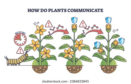 How do plants communicate with each other for self protection outline diagram. Plant defense from pests, diseases and dangerous microorganisms vector illustration. Natural immune system and health.