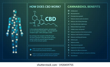 How does CBD works, poster in digital style with infographics, cannabidiol chemical formula and cannabidiol benefits list