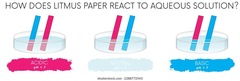 how does litmus paper react to aqueous solution, litmus paper test results, red or blue, acidic or basic