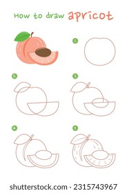 How to draw apricot fruit vector illustration. Draw apricot fruit step by step. Cute and easy drawing guide.