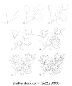 How to draw beautiful branch with magnolia flowers. Creation step by step pencil drawing. Educational page for artists. School textbook for developing artistic skills. Hand-drawn vector image.