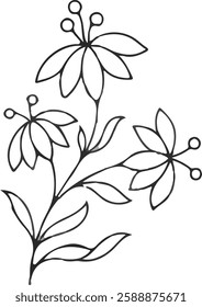 How to Draw a Beautiful Flower